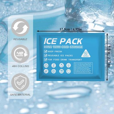 Extra Ice Packs for Insulated Shipping Box