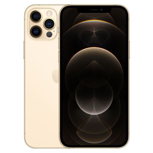iPhone 12 Pro Max Case