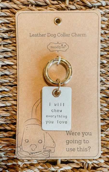 Leather Dog Collar Charm