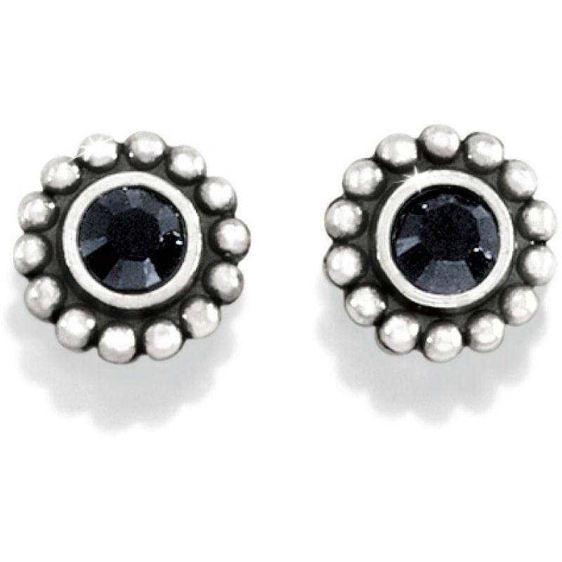 Twinkle Mini Post Earrings Black