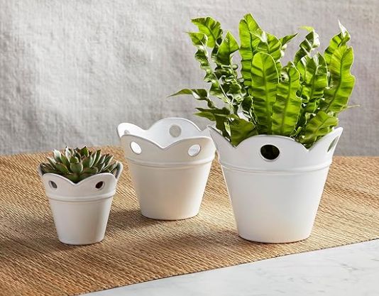 Happy Scallop Pot