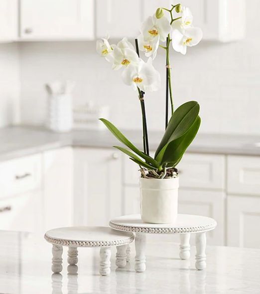 Large White Round Beaded Pedestal