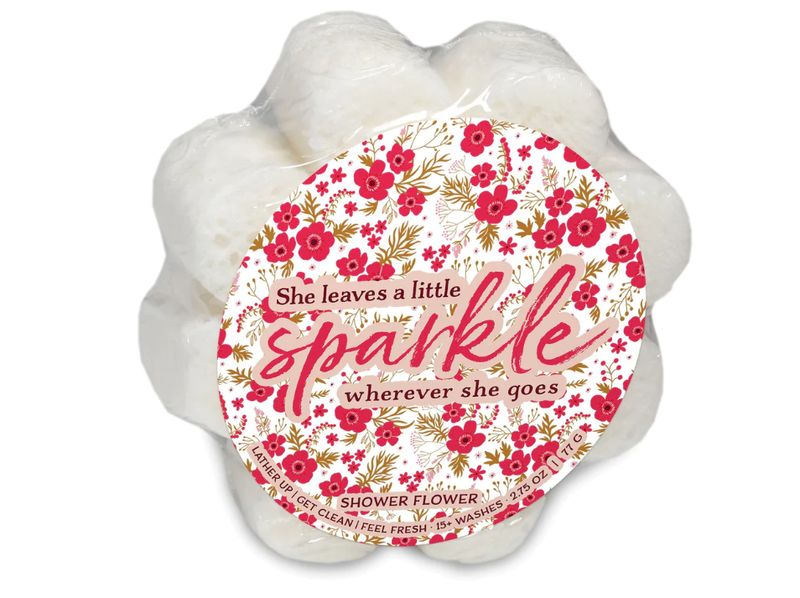 The Caren Soap Sponge