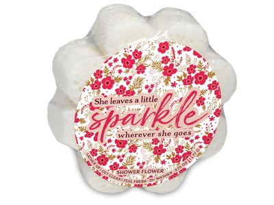 The Caren Soap Sponge
