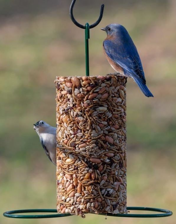 Green Cylinder Feeder