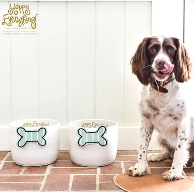 Happy Everything™ Mini Attachment | Striped Bone
