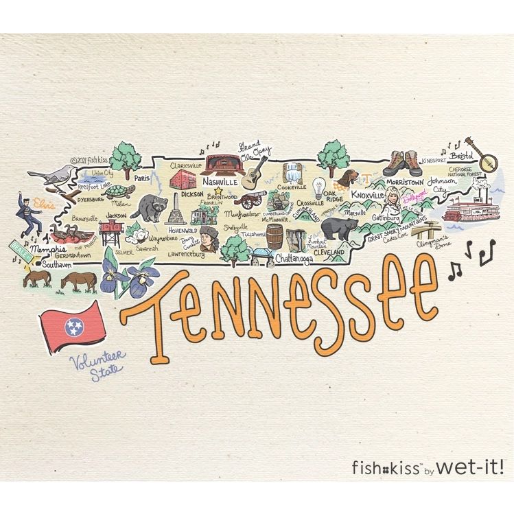 Fishkiss Tennessee Reusable Swedish Dischcloth