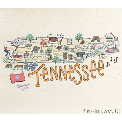 Fishkiss Tennessee Reusable Swedish Dischcloth