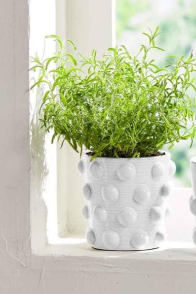 All Over Beaded Pot