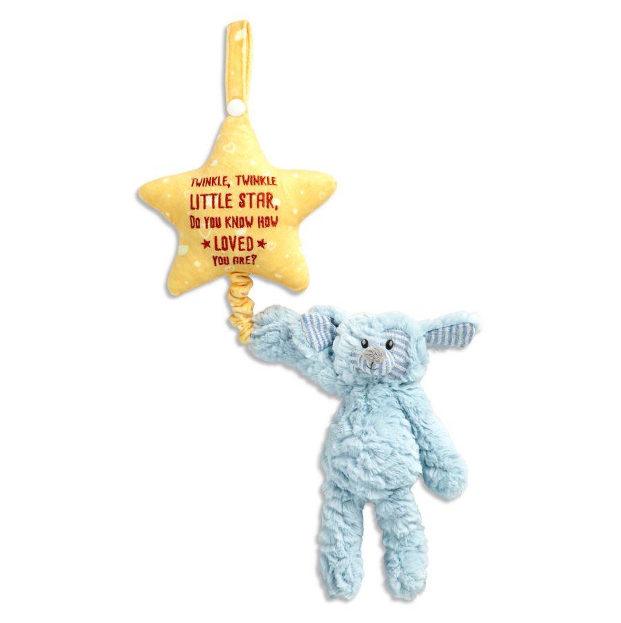 Musical Pull Toy Puppy