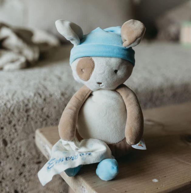 Sleepy Skipit Bunny