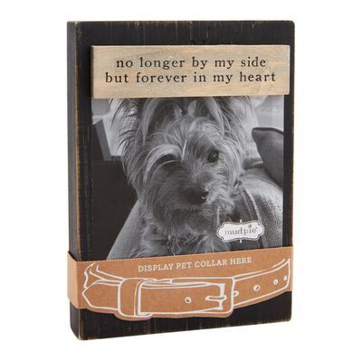 Black Magnetic Collar Frame