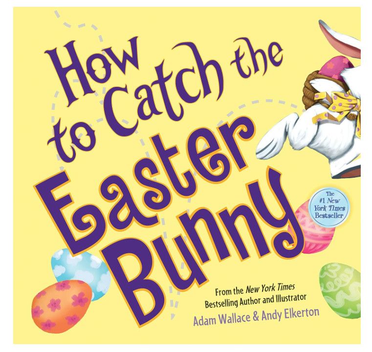 How to Catch the Easter Bunny Board Book