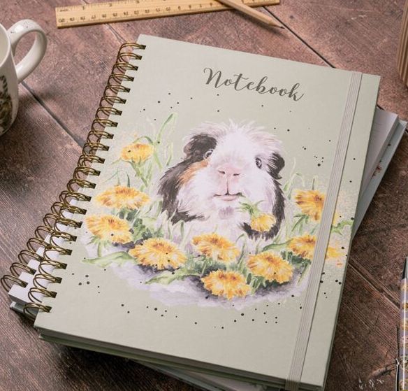 Dandy Day Guinea Pig Large Notebook