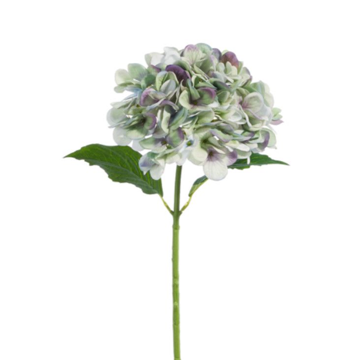 19&quot; Real Touch Green and Purple Hydrangea Stem