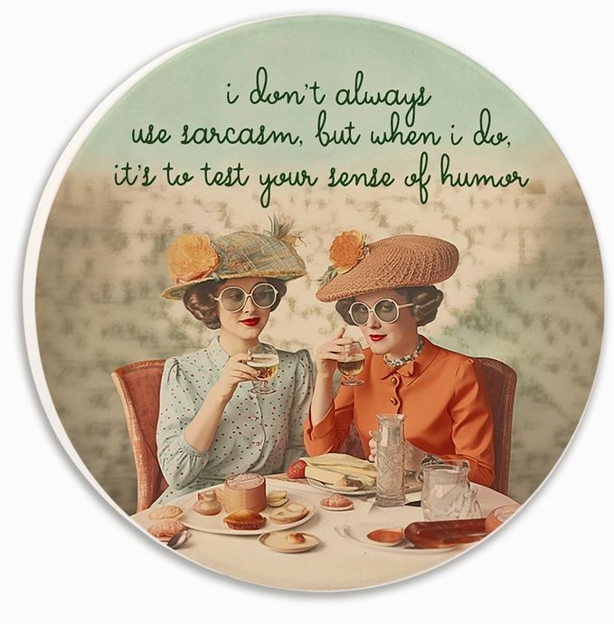 I Don&#39;t Always Use Sarcasm Car Coaster