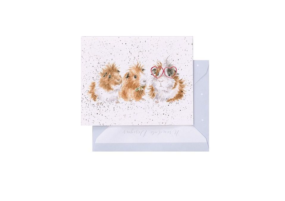 The Trendsetter Guinea Pig Gift Enclosure Card