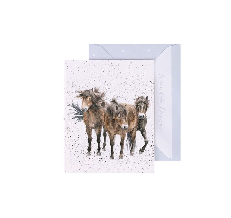 Three Amigos Enclosure Card