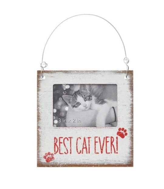 Best Cat Photo Ornament