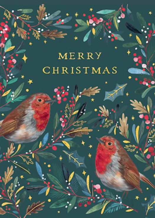 Robins Wreath Boxed Card Set