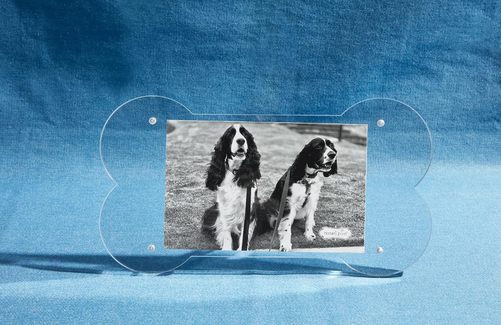 Dog Bone Acrylic Frame