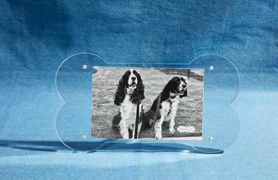 Dog Bone Acrylic Frame