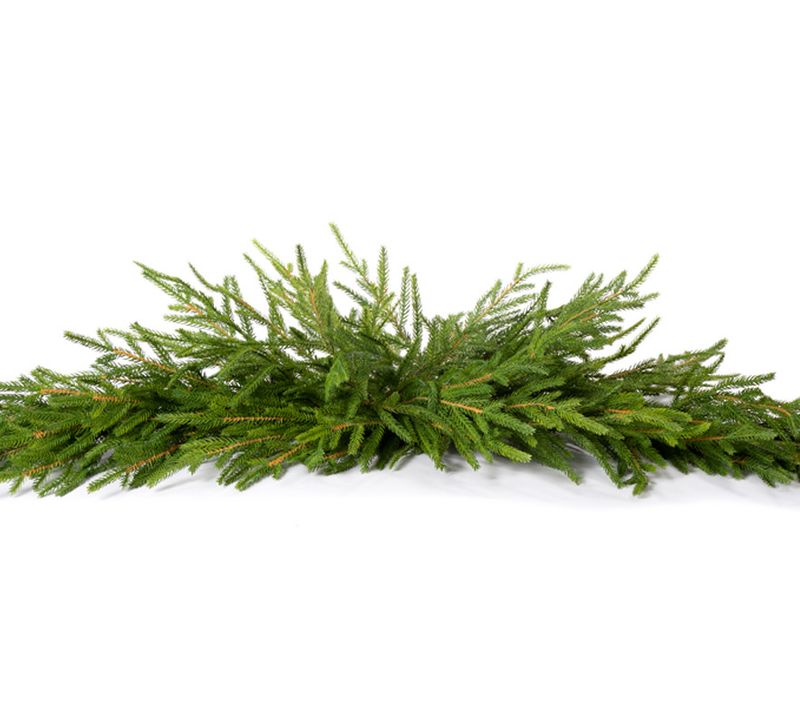 Austrian Pine Swag 52”