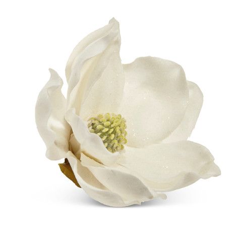 5.5&quot; Iced Magnolia Clip Ornament