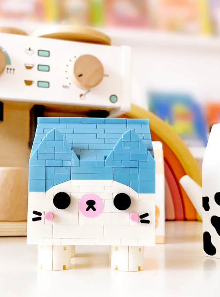 Gary Mini Bricks