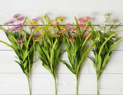 Coreopsis Flower Bundle