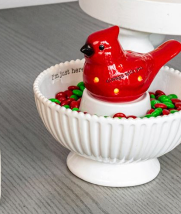 Cardinal Light Up Sitter