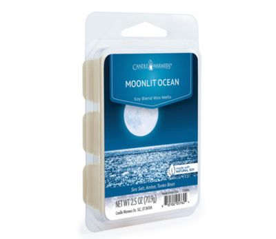 Wax Melt | Moonlit Ocean