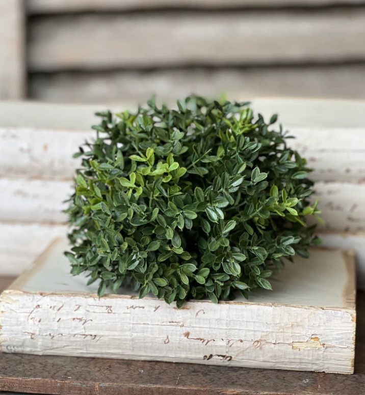 New England Boxwood Half Sphere 8&quot;