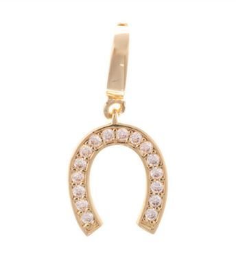 Horseshoe Luxe Charm
