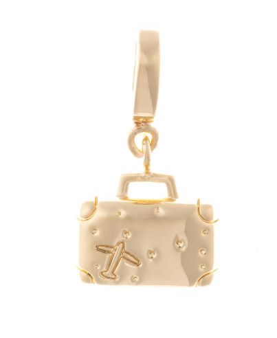 Suitcase Luxe Charm