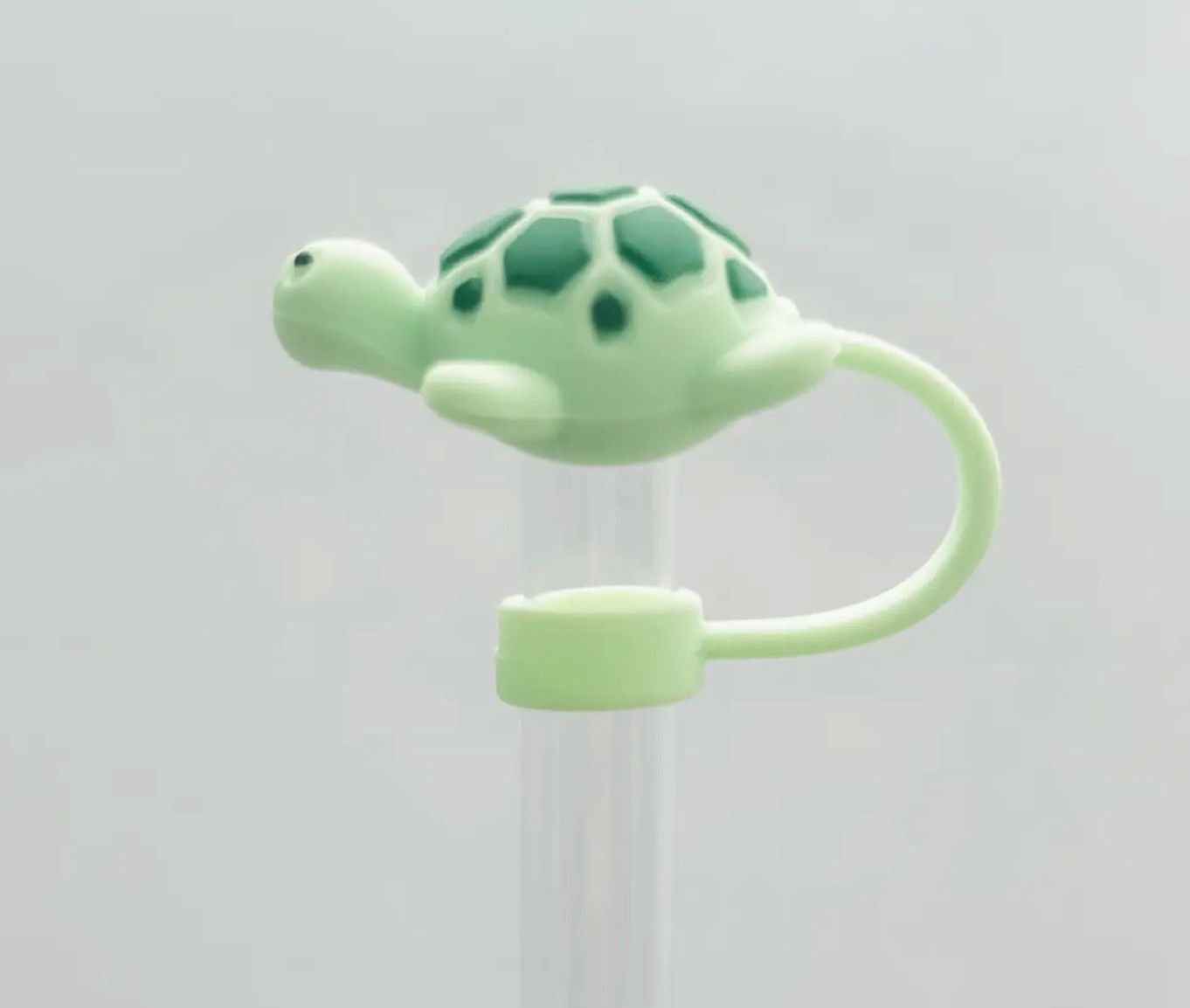 Turtle Straw Cover