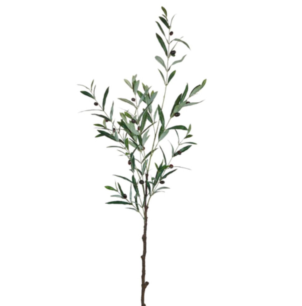 48&quot; Olive Leaf Branch