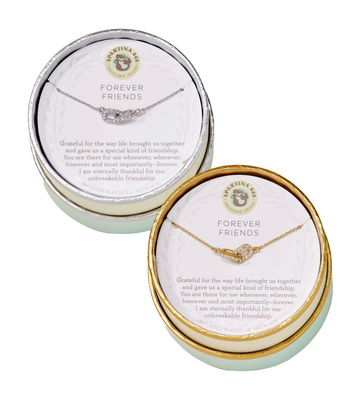 SLV Necklace 18&quot; Forever Friends/Links