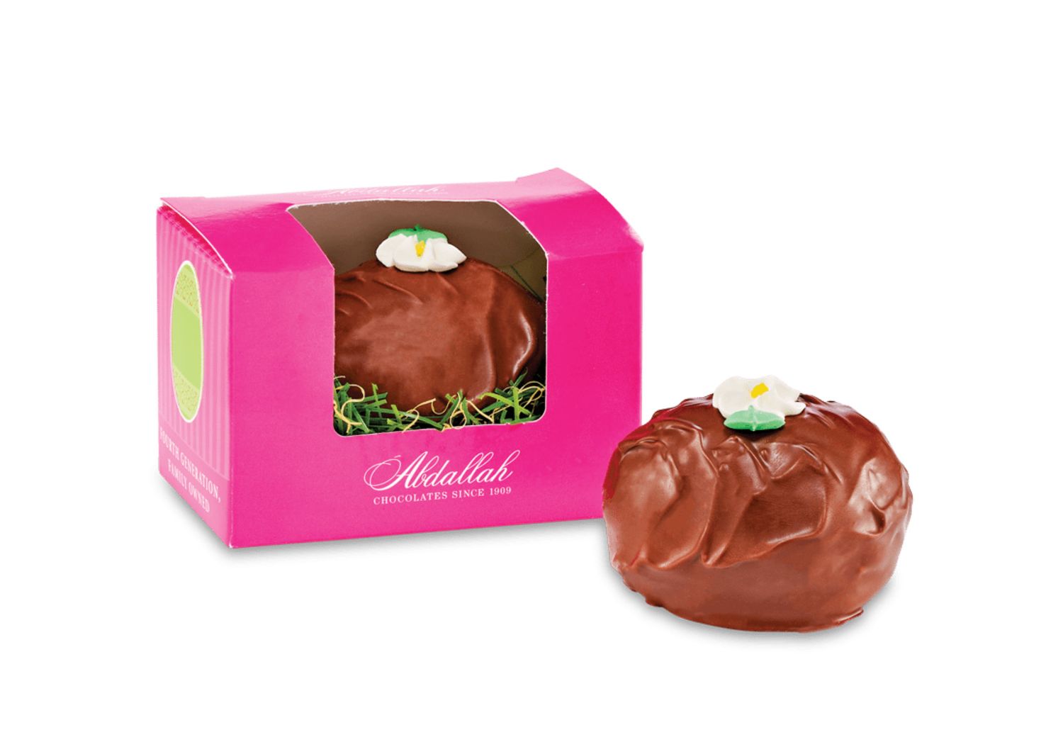 Milk Chocolate Alligator Egg