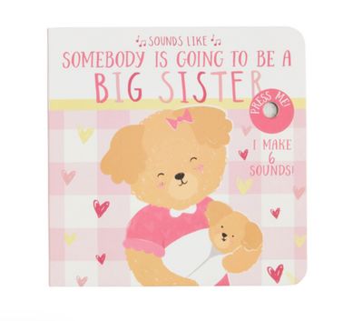 Sounds Like Big Sister Book