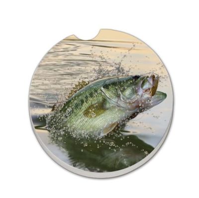 Bass Eruption Car Coaster