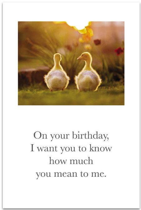 Gosling Friends Card