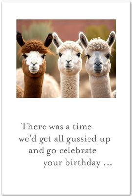 Alpaca Pals Birthday Card