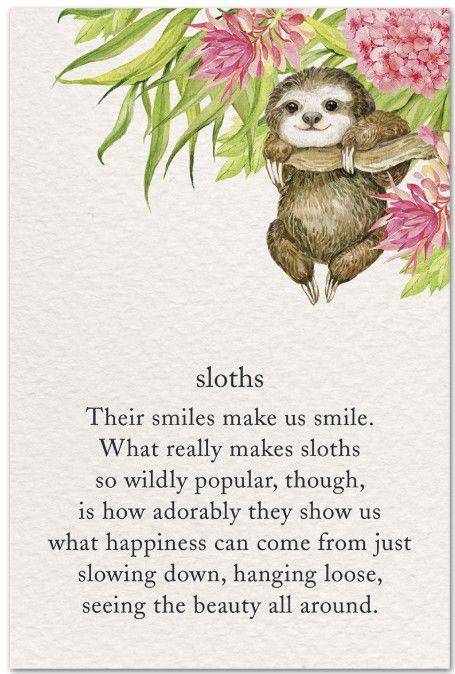Sloth with Hibiscus Card