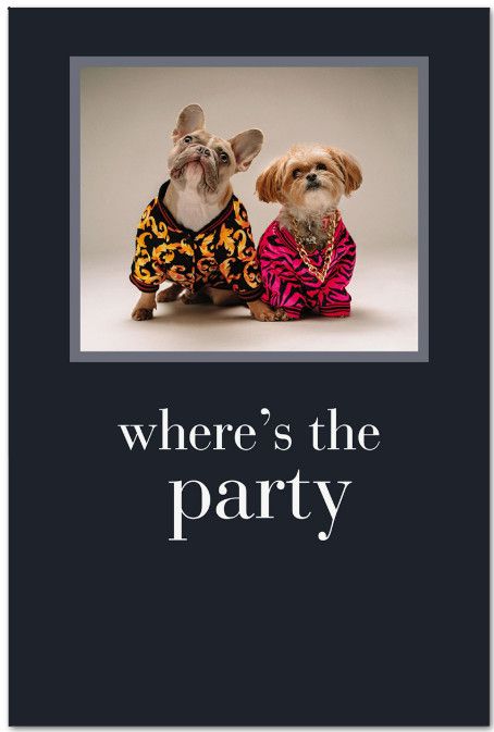 Versace Knock-off Dawgs