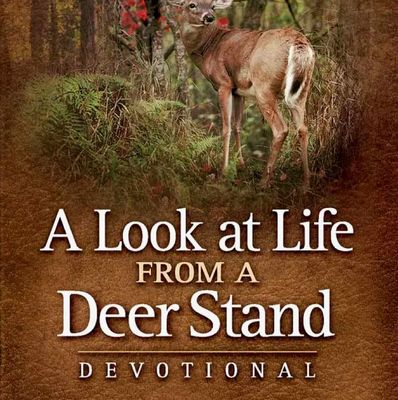 A Look at Life from a Deer Stand
