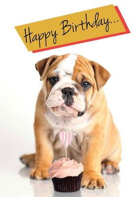 Dog with Cupcake Greeting Card