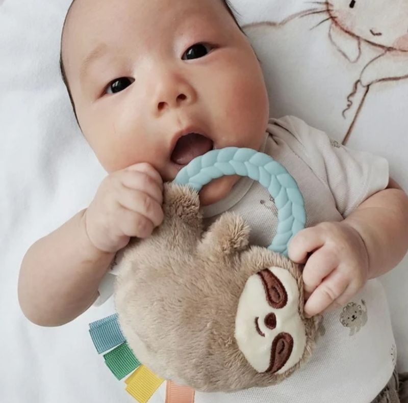 Ritzy Rattle Pal™ Plush Rattle Teether | Sloth