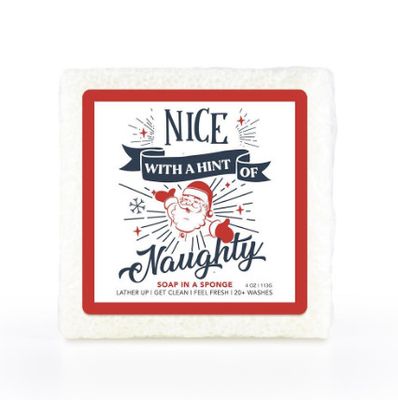 Nice with a Hint of Naughty Soap Sponge