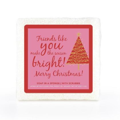 Friends Like You Make the Season Bright Soap Sponge